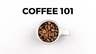  Welcome to Coffee 101: Module 1
